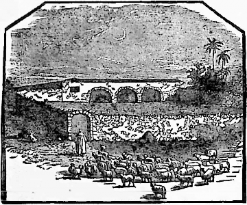 Illustration