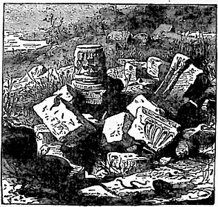 Illustration