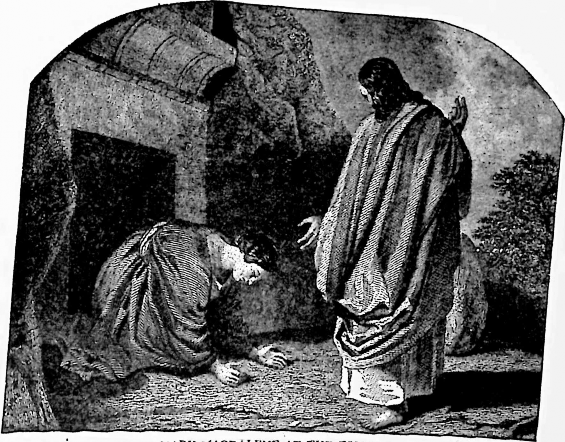 Illustration